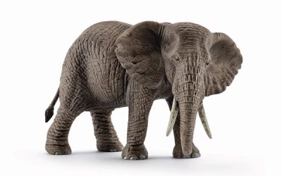 Schleich Afrikansk hun-elefant – Schleich